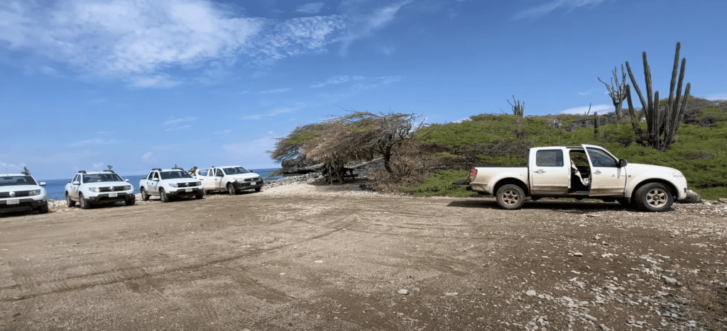 Scuba Diving Bonaire Island